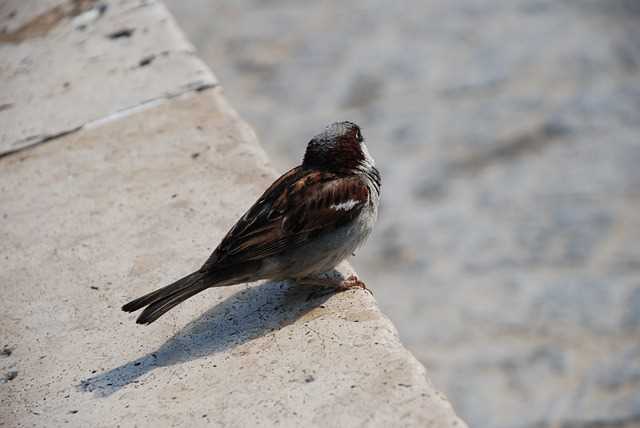 Для создания качественного внешнего освещения рекомендуется обратить внимание на выбор системы освещения, которая обеспечивает энергоэффективность и долговечность. Высококачественные устройства с низким энергопотреблением не только значительно сокращают затраты на электроэнергию, но и требуют минимального обслуживания.
